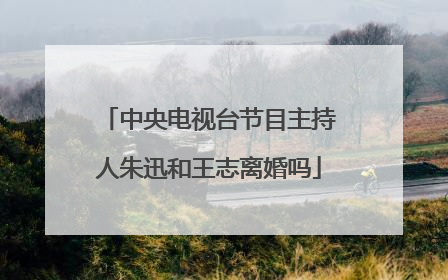 中央电视台节目主持人朱迅和王志离婚吗