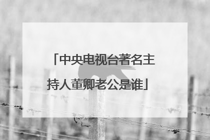 中央电视台著名主持人董卿老公是谁