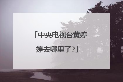 中央电视台黄婷婷去哪里了?