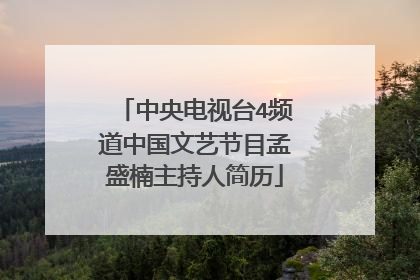 中央电视台4频道中国文艺节目孟盛楠主持人简历
