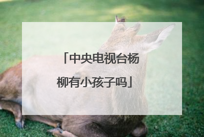 中央电视台杨柳有小孩子吗