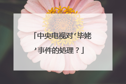 中央电视对‘毕姥’事件的処理？
