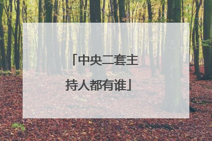 中央二套主持人都有谁