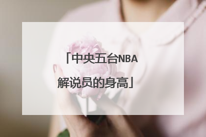 中央五台NBA解说员的身高