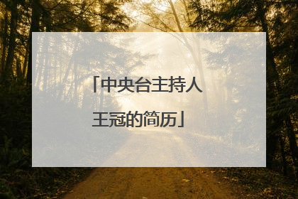 中央台主持人王冠的简历