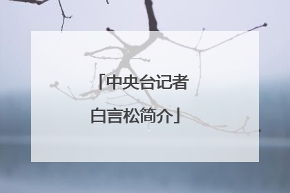 中央台记者白言松简介