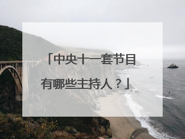 中央十一套节目有哪些主持人?