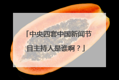 中央四套中国新闻节目主持人是谁啊？