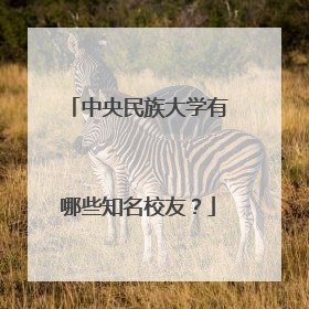 中央民族大学有哪些知名校友？