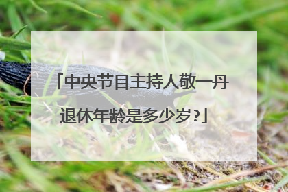 中央节目主持人敬一丹退休年龄是多少岁?