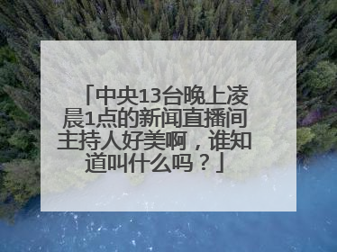 中央13台晚上凌晨1点的新闻直播间主持人好美啊,谁知道叫什么吗?