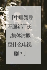 中层领导不服新厂长,集体请假是什么电视剧？