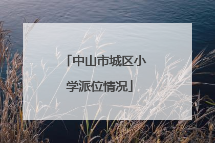 中山市城区小学派位情况