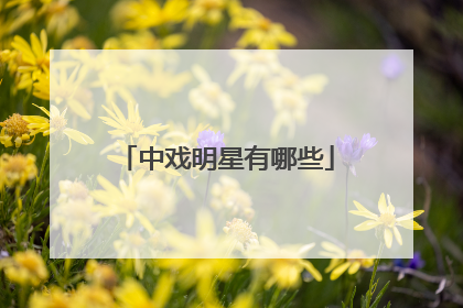 中戏明星有哪些