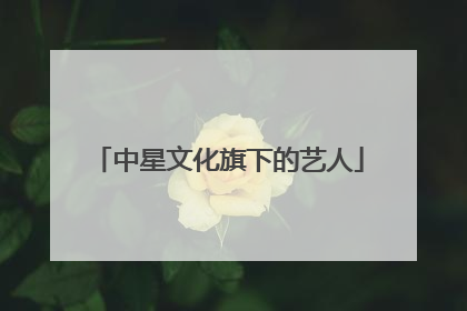 中星文化旗下的艺人