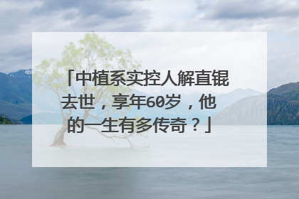 中植系实控人解直锟去世,享年60岁,他的一生有多传奇?