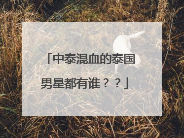 中泰混血的泰国男星都有谁??