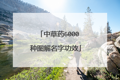 中草药6000种图解名字功效