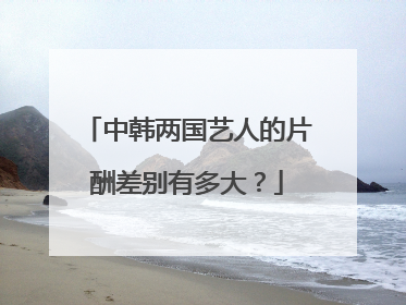 中韩两国艺人的片酬差别有多大？