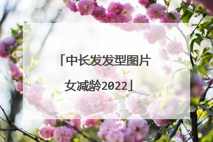 中长发发型图片女减龄2022