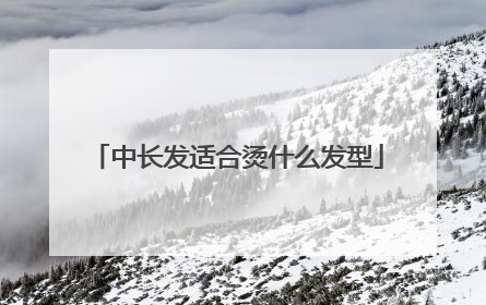 中长发适合烫什么发型