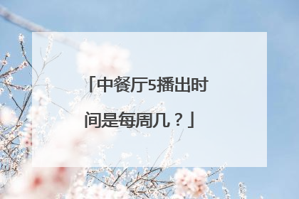 中餐厅5播出时间是每周几?
