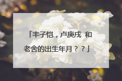 丰子恺，卢庚戌 和老舍的出生年月？？