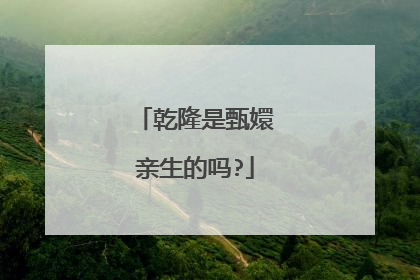 乾隆是甄嬛亲生的吗?