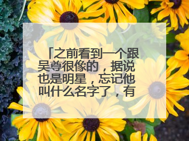 之前看到一个跟吴尊很像的，据说也是明星，忘记他叫什么名字了，有谁知道吗
