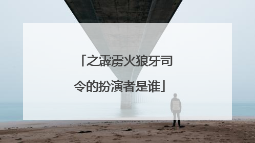 之霹雳火狼牙司令的扮演者是谁