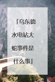 乌东德水电站大蛇事件是什么事