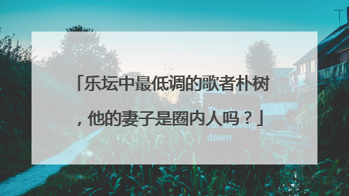 乐坛中最低调的歌者朴树，他的妻子是圈内人吗？