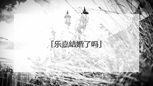乐嘉结婚了吗