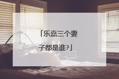 乐嘉三个妻子都是谁?