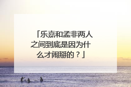 乐嘉和孟非两人之间到底是因为什么才闹掰的？