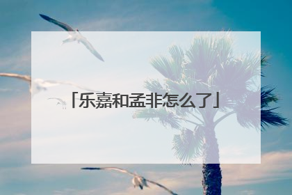乐嘉和孟非怎么了