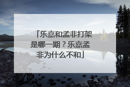 乐嘉和孟非打架是哪一期?乐嘉孟非为什么不和