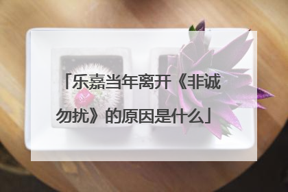 乐嘉当年离开《非诚勿扰》的原因是什么
