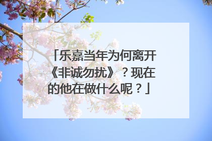 乐嘉当年为何离开《非诚勿扰》？现在的他在做什么呢？
