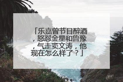 乐嘉曾节目醉酒，怒怼金星和鲁豫，气走窦文涛，他现在怎么样了？