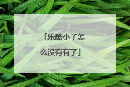 乐酷小子怎么没有有了