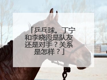 乒乓球。丁宁和李晓霞是队友还是对手?关系是怎样?