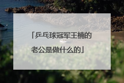 乒乓球冠军王楠的老公是做什么的