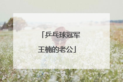 乒乓球冠军王楠的老公