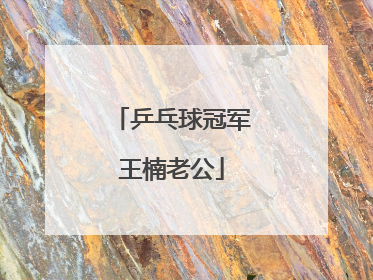 乒乓球冠军王楠老公