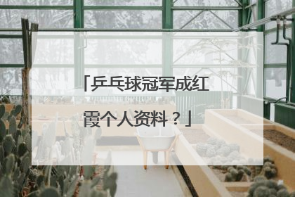 乒乓球冠军成红霞个人资料？