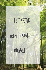 乒乓球冠军马琳前妻