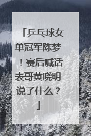 乒乓球女单冠军陈梦!赛后喊话表哥黄晓明说了什么?