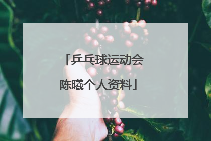 乒乓球运动会陈曦个人资料