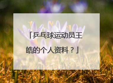 乒乓球运动员王皓的个人资料?